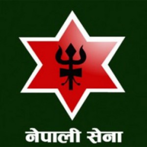 निजी काम, सरकारी दाम