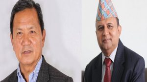 नेकपाको कार्यविभाजन , पोखरेल र गुरुङ हटाइए