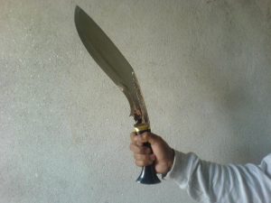 पशुपतिमा साधुमाथि खुकुरी प्रहार, १२ जना पक्राउ