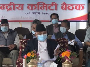 टोली नेताको सुझाव : कार्यकारी पदमा दुई पटकभन्दा बढी रहन नपाइने, ७ उपाध्यक्ष राख्नुपर्ने