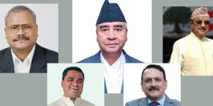 टिम देउवा :खड्का र गच्छदार उपसभापति, प्रकाशशरण र प्रदीप महामन्त्री