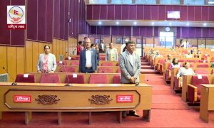 अर्थमन्त्रीको राजीनामा माग्दै राष्ट्रियसभामा एमालेको अवरोध