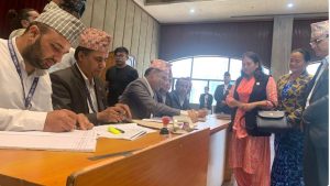 उपसभामुखमा एमालेबाट विद्या भट्टराईको मनोनयन दर्ता