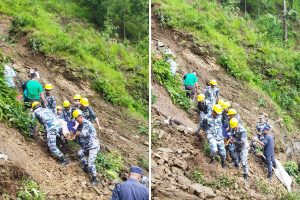 गुल्मीको सिमिचौरमा ट्रक दुर्घटना, एक जनाको मृत्यु