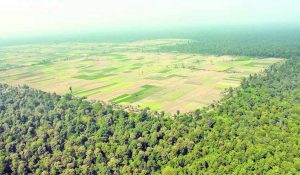 निजगढमा नै विमानस्थल उपयुक्त हुने विज्ञ समूहको निष्कर्ष