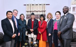 एमाले अध्यक्ष ओली र अमेरिकी उपमन्त्री नुल्याण्डबीच भेटवार्ता