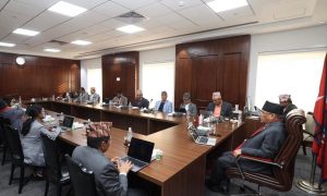 जनयुद्ध दिवसमा सार्वजनिक विदा