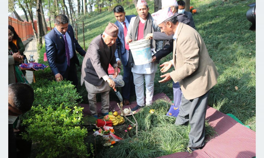 राष्ट्रपति पौडेलद्वारा वनकालीमा वृक्षरोपण