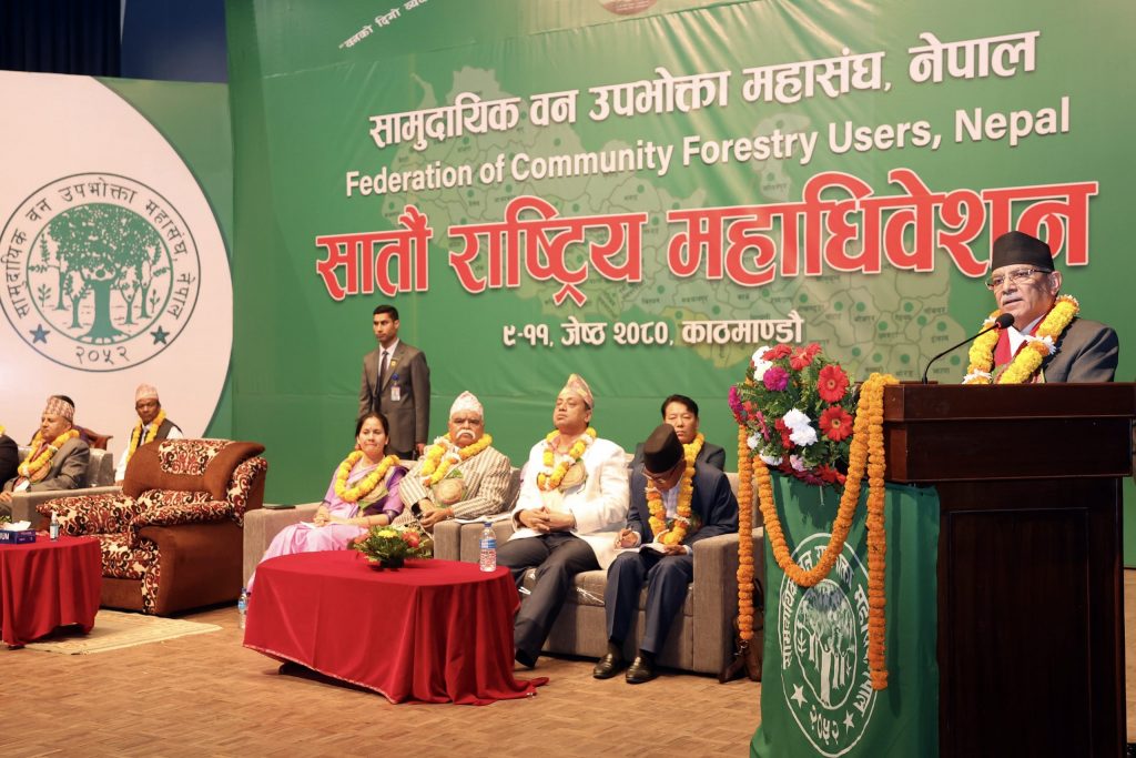 काठ निर्यातबाट वार्षिक एक खर्ब २० अर्ब बढी आम्दानी गर्न सकिन्छ : प्रधानमन्त्री