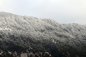 ताप्लेजुङको हिमाली क्षेत्रमा हिमपात