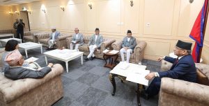 संवैधानिक परिषदको बैठक सुरु