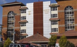 ललिता निवास प्रकरणमा १७ जनालाई धरौटीमा छाड्न आदेश